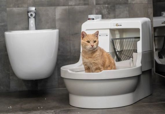Automatická kočičí toaleta CatGenie Automatická kočičí toaleta CatGenie